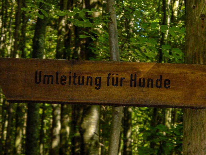 Bierhütte Bayrischer Wald 23.08.2003 15-48-43 2048x1536